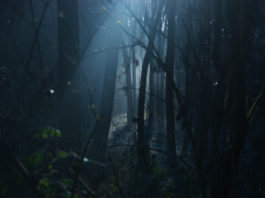 Film horror