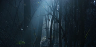 Film horror